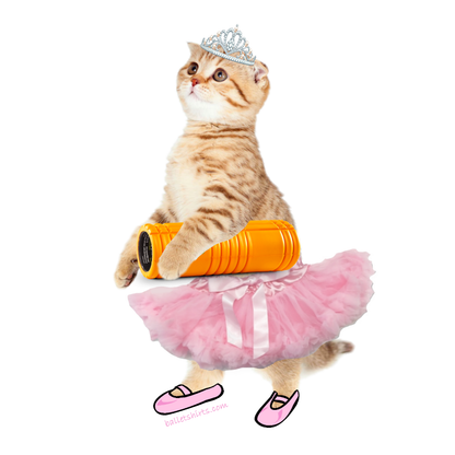 hazel the cat ballerina tutu roller pointeshoes adorable cute print hoodie t-shirt